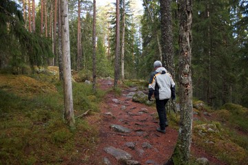 walking in the forest