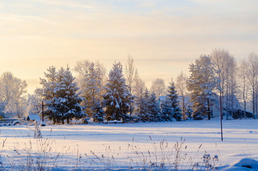 winter landscape with trees and blue sky