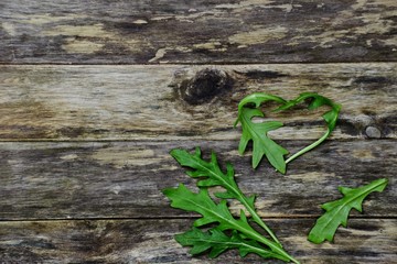 Salad rocket leaves isolated