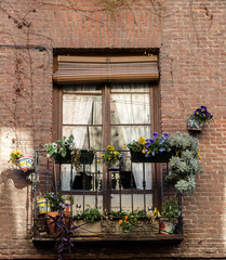Fototapeta na wymiar ventana floral