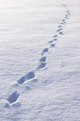 Schneespur quer durch das Bild blau weiß Winter Niemand