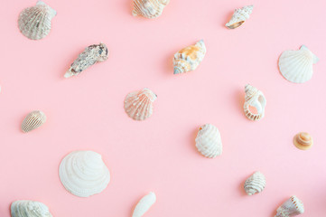 Creative seashell pattern pastel pink  background. Summer flat lay. Top viev sea background