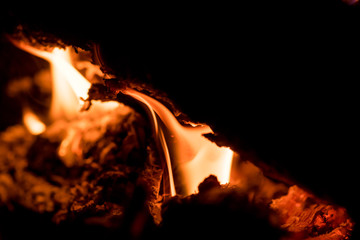 płomień ognia w ognisku w kominku - obrazy, fototapety, plakaty