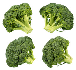 Broccoli isolated on white background