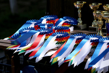 Closeup of colorful ribbons awards rosettes and trophys for winners In equitation competition