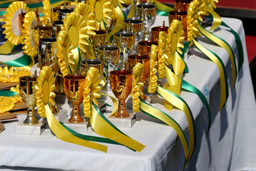 Group of horse riding equestrian sport trophys badges rosettes at equestrian event  at summertime