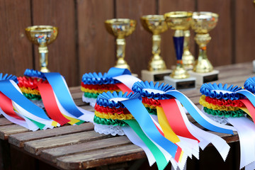 Group of horse riding equestrian sport trophys badges rosettes at equestrian event  at summertime