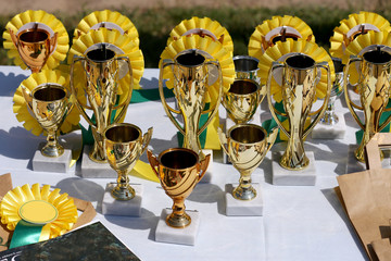 Group of horse riding equestrian sport trophys badges rosettes at equestrian event  at summertime