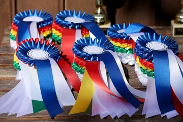 Foto auf Acrylglas Reiten Group of horse riding equestrian sport trophys badges rosettes at equestrian event  at summertime