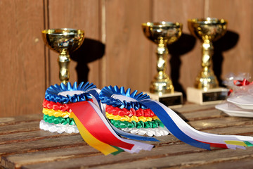 Group of horse riding equestrian sport trophys badges rosettes at equestrian event  at summertime