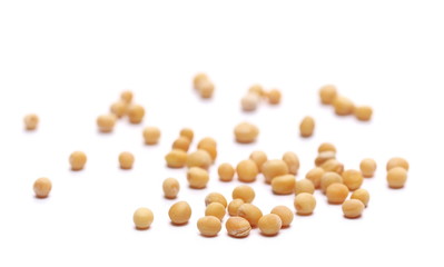 Yellow mustard seeds macro isolated on white background
