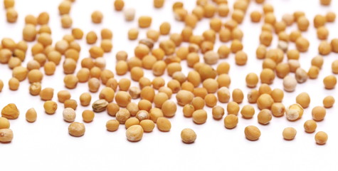 Yellow mustard seeds macro isolated on white background