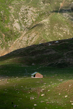 beautiful cotage on the hill landscape 