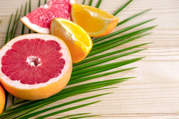 Palm leaf with grapefruit and orange. Tropical banner with fruits and a place for an inscription. Holidays