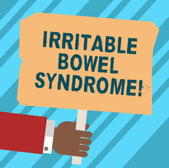 Word writing text Irritable Bowel Syndrome. Business concept for Disorder involving abdominal pain and diarrhea Hu analysis Hand Holding Blank Colored Placard with Stick photo Text Space