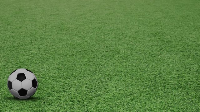 Soccer ball motion on green football field. 