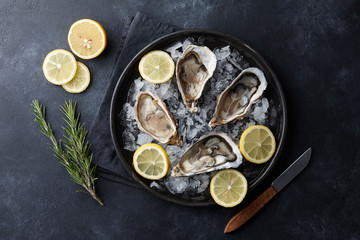 Fresh opened oysters in a plate with ice and lemon on black textured background, top view