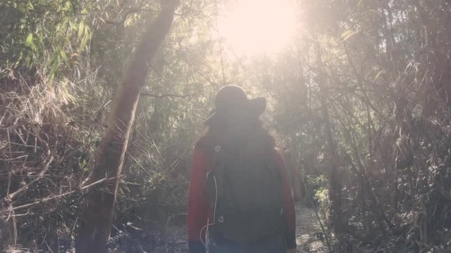 Female trekker backpacker exploring the rain forest of the Patagonian region. 4k