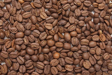Brown Coffee Beans