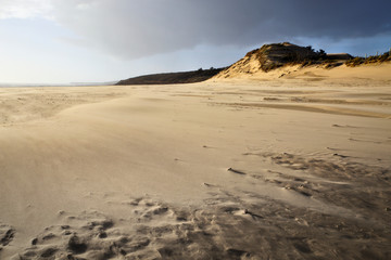 Fototapeta na wymiar Dune and beach