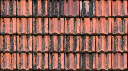 Roof of House