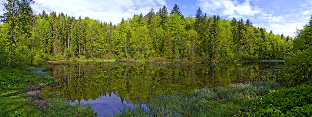 Obraz premium Beautiful river under the sunny mountains