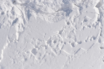 Abstract snow background.