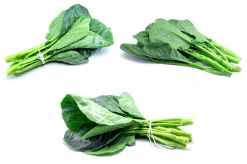 Thai style kale - Green kale isolated on white background.