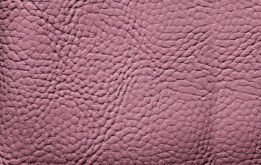 Purple leather texture, background, pink animal skin, textile, pattern. 