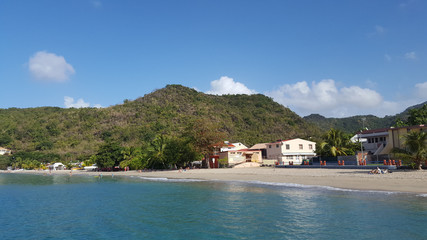 Martinique, réveil tranquille sur la plage de l'anse d'Arlet