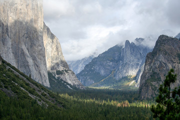 View of the Yosemite Valley
