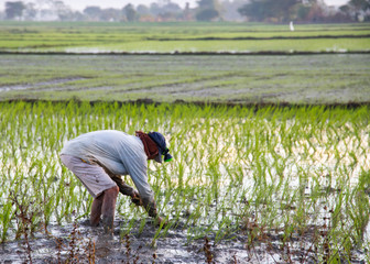 Farmer in Northern Philippines © almatiponphotography