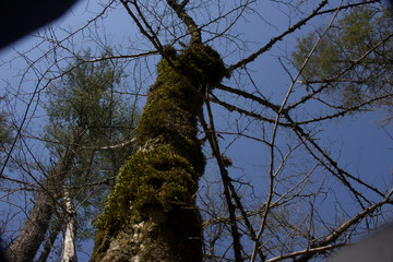 Share The Nature