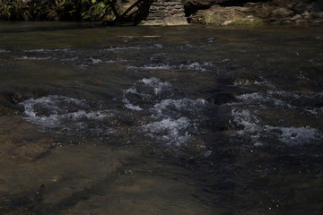 Share The Nature