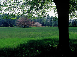 Lodz city, Poland - May, 2015: Botanic Garden