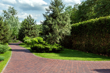 red tile walkway in the park with a lawn of green bushes and deciduous trees and pine trees with hedges.