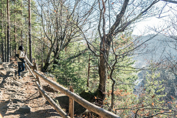 girl in a jacket walks through the woods