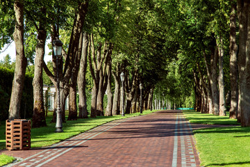 the path from paving slabs with high deciduous trees goes into perspective, the path with lampposts and urn.