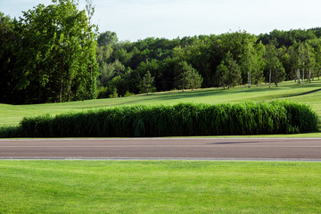 pedestrian road with markings in a park with a hilly landscape of meadow and reeds in the background space and forest with trees.