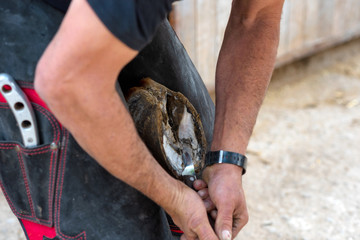 Farrier at work on the horses hoof .