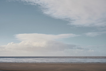 wind farm by the sea