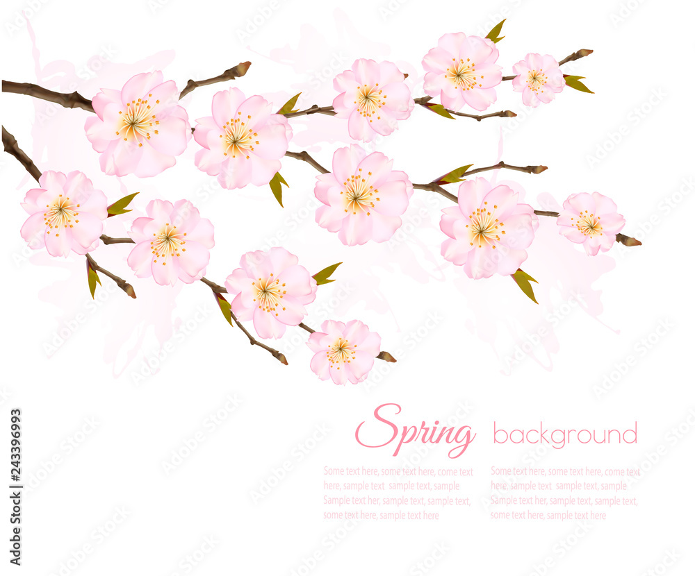 Aufkleber Spring nature background with sakura branch. Vector
