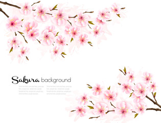 Fototapeta premium Spring background with Sakura japan cherry branch. Vector