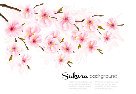 Spring nature background with sakura branch. Vector