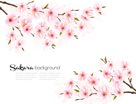 Spring background with Sakura japan cherry branch. Vector