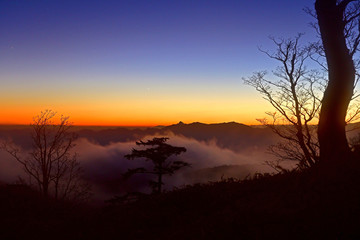 Fototapeta na wymiar 大台ケ原山で見たブルーモーメントの情景
