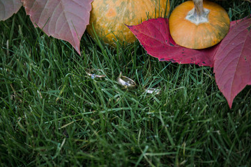 gold wedding rings lie on the pumpkin in  grass
