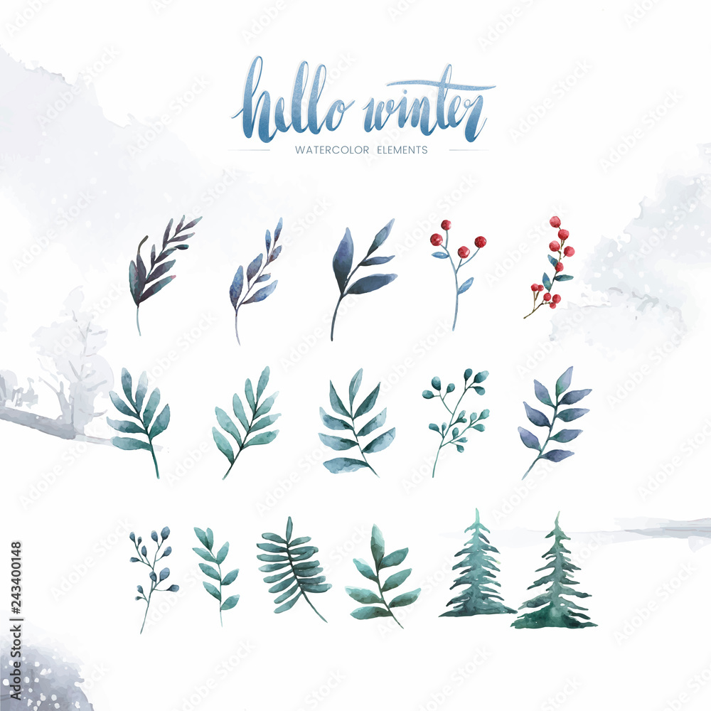 Canvas Prints watercolor set of winter flowers and leaves vector