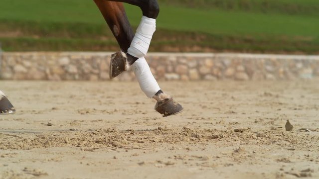 SUPER SLOW MOTION, CLOSE UP: Chestnut stallion with bandaged legs cantering in the sandy outdoor arena. Cinematic shot of brown horse's hooves digging up the sand during its gallop in the paddock.
