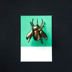 Winged beetle insect toy object